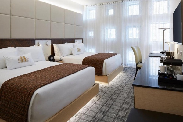 Le Mount Stephen image 29